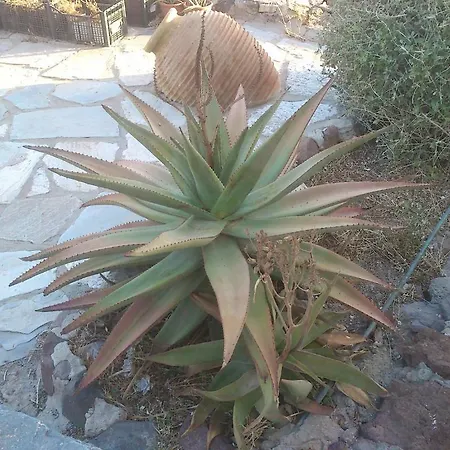 Kastro Milos Apartament *